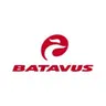 Batavus logo